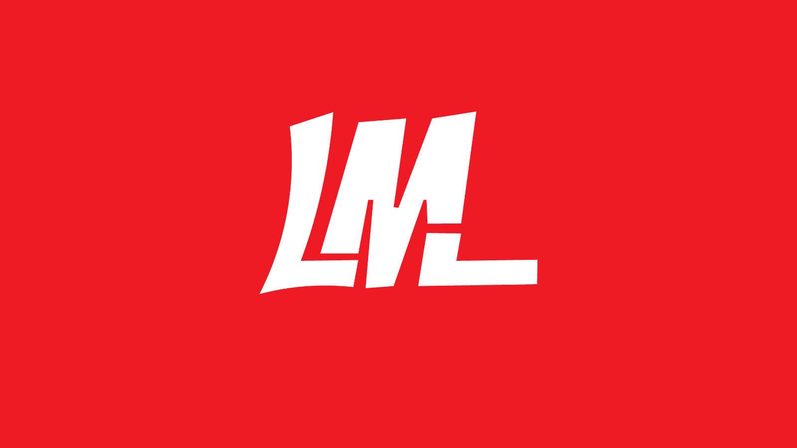 LML Digitals - Custom Systems Development for Clients